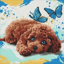 Алмазна мозаїка на підрамнику Милий пудель Ideyka 40х40см AMO8337