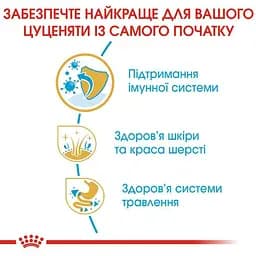 Сухий корм для цуценят породи Золотистий Ретрівер Royal Canin Golden Retriever Puppy, 3 кг (39790301) - мініатюра 5