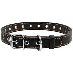 Нашийник для собак Collar, шкіряний, безрозмірний, 60х2,5 см, чорний