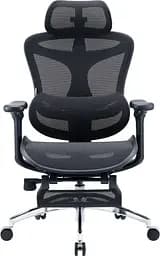 Офісне крісло Sihoo DORO C300L Mesh Black with footrest (DORO-C300L-A3-101-JT)