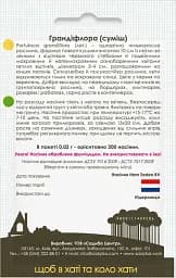 Насіння Садиба Портулак Грандіфлора суміш 0.02 г (000021956) - мініатюра 2