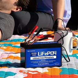Акумулятор Eco Worthy LiFePO4 12V 8Ah (96Wh), 3000+ циклів - мініатюра 5