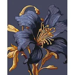 Картина за номерами Art Craft Таємнича лілія з металізованими фарбами 40х50 см (13151-AC)