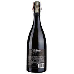 Вино ігристе Ca' del Bosco Franciacorta Saten, 12,5%, 0,75 л - мініатюра 2