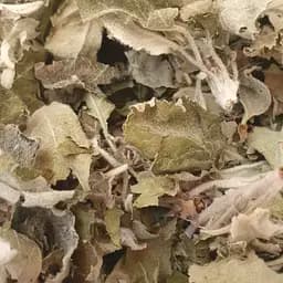 100 г айва лист сушеный