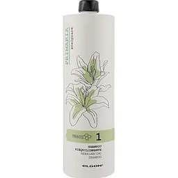 Шампунь Elgon Primaria Rebalancing Shampoo з глиною для жирної шкіри голови 1000 мл