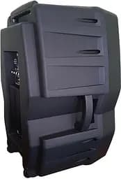 Активна акустична система BIG HAYMER D15A - мініатюра 3