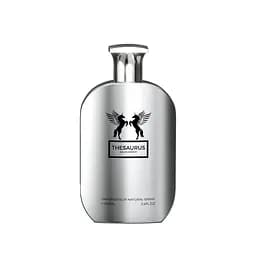 Парфюмированная вода мужская Emper Thesaurus 100 мл (MM35972)