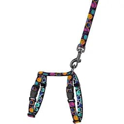 Шлея для котів та собак дрібних порід BronzeDog Urban Art Диско з повідцем XS 18-27 см