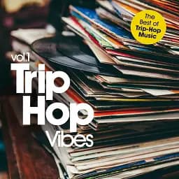 Вініловий диск TRIP HOP VIBES VOL. 1 V.A.