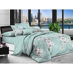 Комплект постільної білизни TAG Tekstil Євро 000210118 (BR-4109)