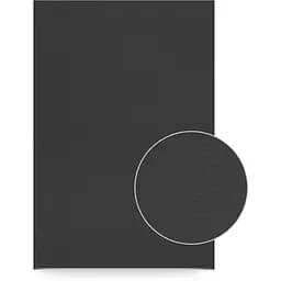 Полотно на картоне Rosa Studio 20×30 см Black acrylic prime cotton