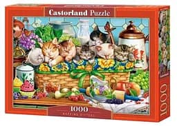 Пазл Castorland puzzle Дрімаючі кошенята, 1000 ел. (C-105069)