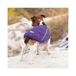 Жилет Pet Fashion E.Vest для собак, розмір XS2, фіолетовий - мініатюра 5