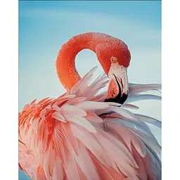 Алмазная мозаика Strateg ПРЕМИУМ Яркий розовый фламинго размером 30х40 см (HEG85873)