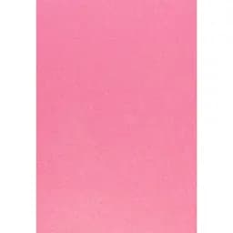 Набор фетра Santi жесткий 21 х 30 см 10 листов светло-розовый (740398)