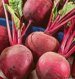 Насіння Весна Буряк Монік Зіпер 6 г (177901)