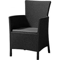 Крісло садове пластикове Allibert Iowa DC сіре