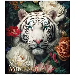 Тетрадь общая Школярик Star The New Ambience в линию 96 листов 5 шт. (096-3371L)