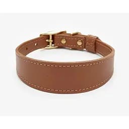 Шкіряний нашийник для собак "Almond" XS рудий (обхват шиї 25-30см)