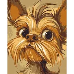 Картина по номерам "Йоркширский терьер" 11720-AC 40х50 см