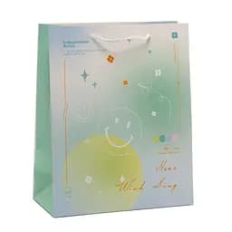 Подарунковий пакет 26*32*12 L, 6212