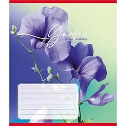 Зошит учнівський "Естетика" Leader 024-550443K-3 в клітинку, 24 аркуші