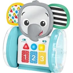 Музыкальная игрушка Baby Einstein Chase & Tap Earl (16923)