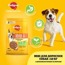 Сухий корм для малих собак Pedigree з птицею та овочами 500 г - мініатюра 3