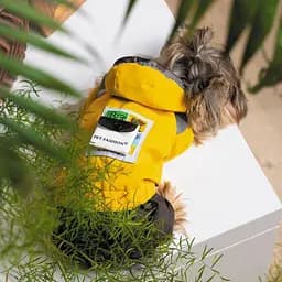 Дощовик Pet Fashion Elsa для дівчаток, розмір XS, жовтий (лімітована серія) - мініатюра 6