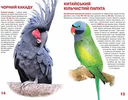 Велика книга Кристал Бук Папуги (F00010905) - мініатюра 3
