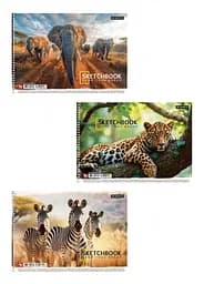 Комплект 3 шт. альбомів для малювання. Альбом Школярик А4 30 арк. 120г/м2 8043 4823088243970