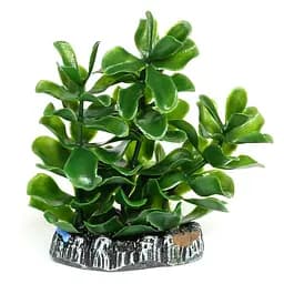 Штучна рослина Hobby Bacopa 7 см (51555)