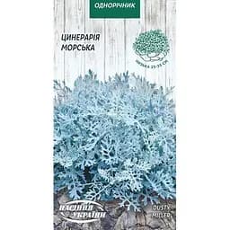 Семена Цинерария морская Насіння України 0.1 г (805000)