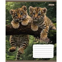 Набір зошитів 1 Вересня Wildlife is beautiful А5 18 аркушів у лінію 25 шт. (769145) - мініатюра 4