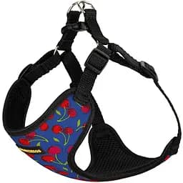 Шлея для собак Bronzedog Sport Вишни XS 14х12х2 см синяя