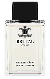 Одеколон для мужчин La Rive Brutal Grand, 100 мл (W000009500)