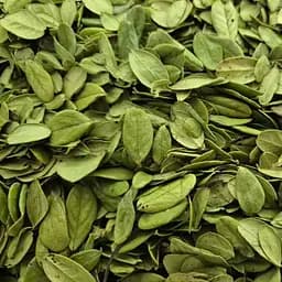 100 г брусника лист сушенный - свежий урожай