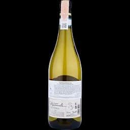Вино Masciarelli Trebbiano d´Abruzzo Gianni DOC, біле, сухе, 12,5%, 0,75 л - мініатюра 2