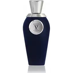 Духи оригинал V Canto Amans 100 мл тестер Extrait de Parfum