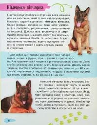 Мініенциклопедія. Хатні улюбленці - мініатюра 6