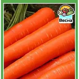 Семена Весна Морковь Красная роза 2 г (10388)