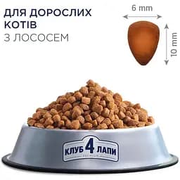 Сухий корм Club 4 Paws Premium для котів Лосось 2 кг  - мініатюра 2