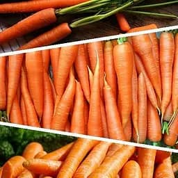 Морква "Суміш кращих популярних сортів" ТМ "Весна"  15г (45525)