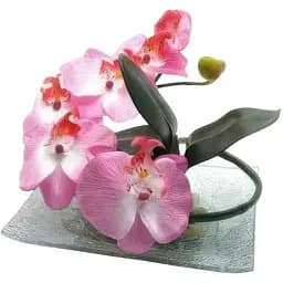 Цветок орхидеи на стеклянной подставке 20х15 см.