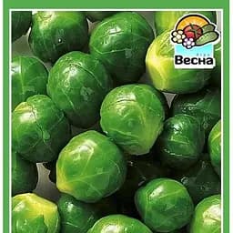 Насіння Весна Капуста Брюссельська 0.3 г (10329)
