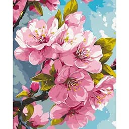 Картина за номерами Цвіт сакури 13099-AC 40х50 см