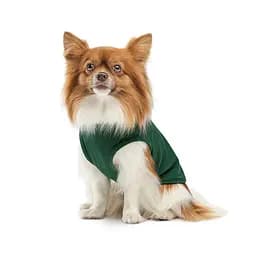 Боротьба Kale Pet Fashion для собак M зелена - мініатюра 3