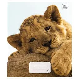 Набор тетрадей ученических Interdruk Premium Wild Collection 4 А5 в клетку 12 листов 4 шт. (354419-4)