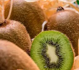 Саджанець Agro-Market Agrobox з саджанцем ківі самозапильним сортом 1 шт. в упаковці (48055)